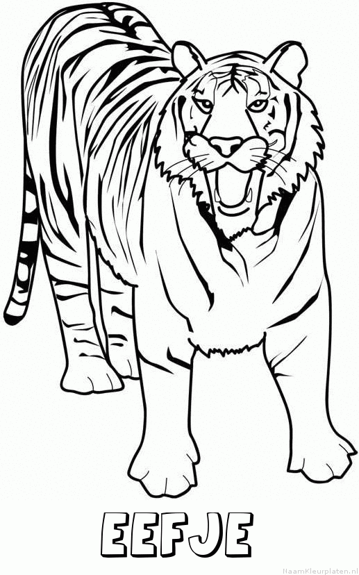 Eefje tijger 2 kleurplaat