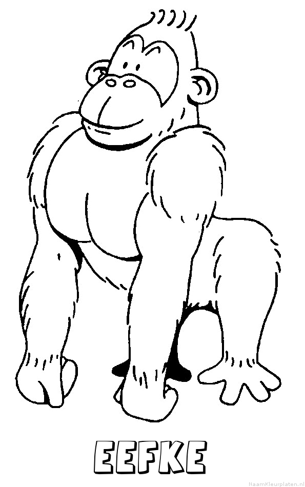 Eefke aap gorilla