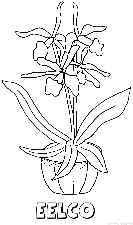 Eelco bloemen