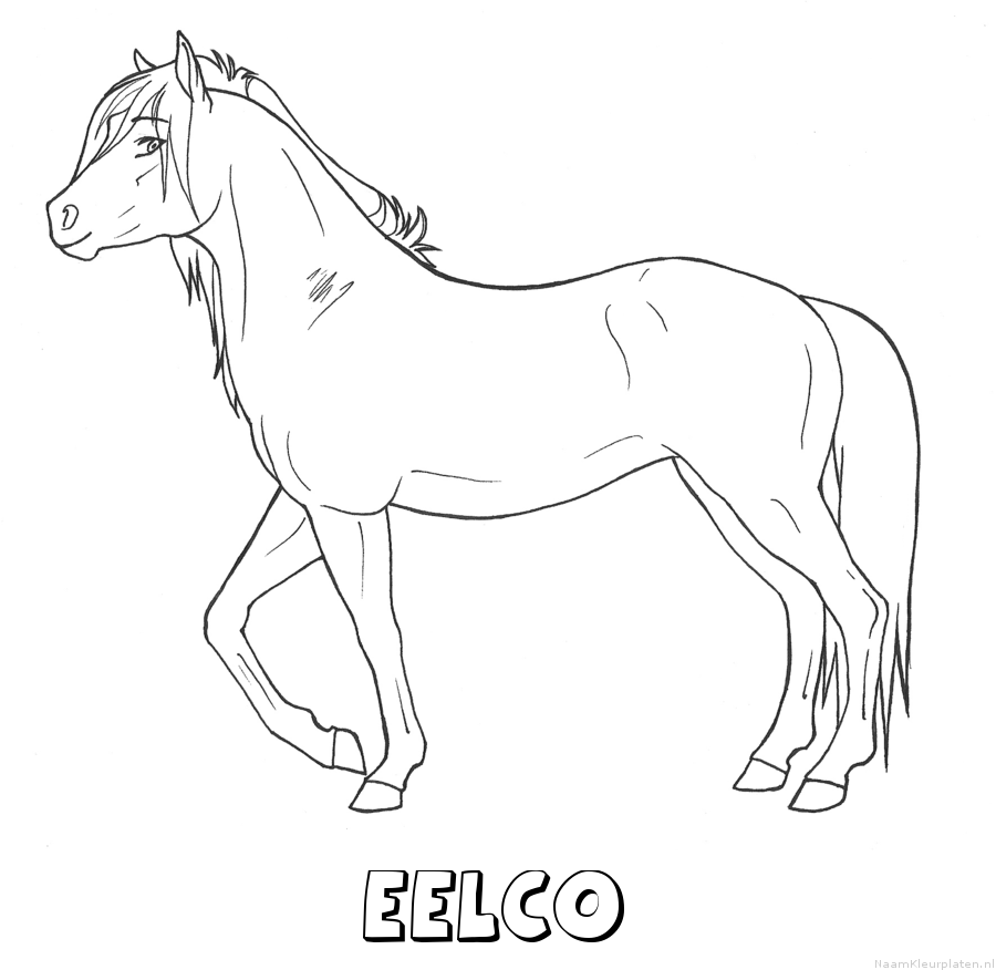 Eelco paard kleurplaat