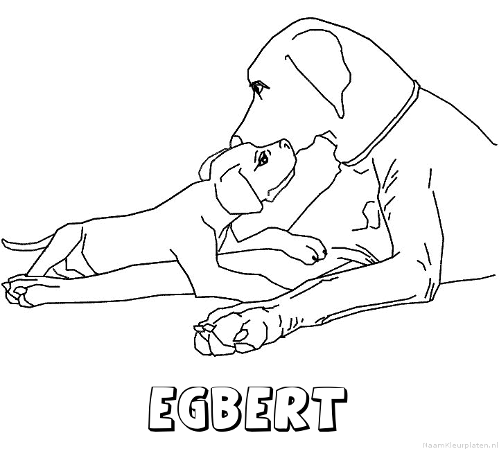 Egbert hond puppy