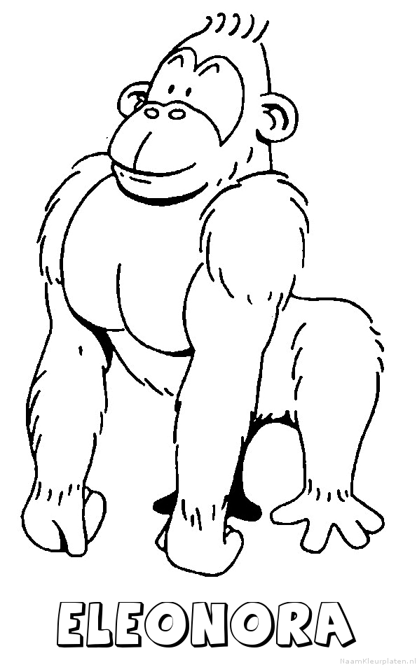 Eleonora aap gorilla