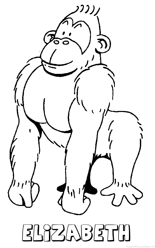 Elizabeth aap gorilla