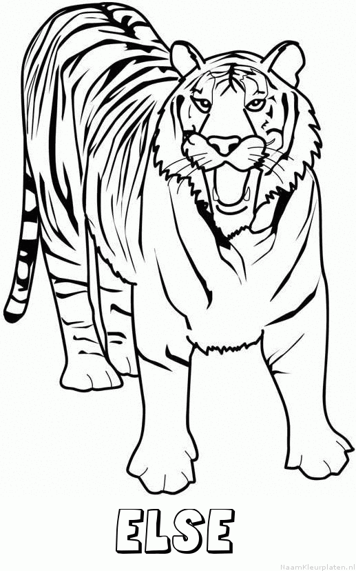 Else tijger 2