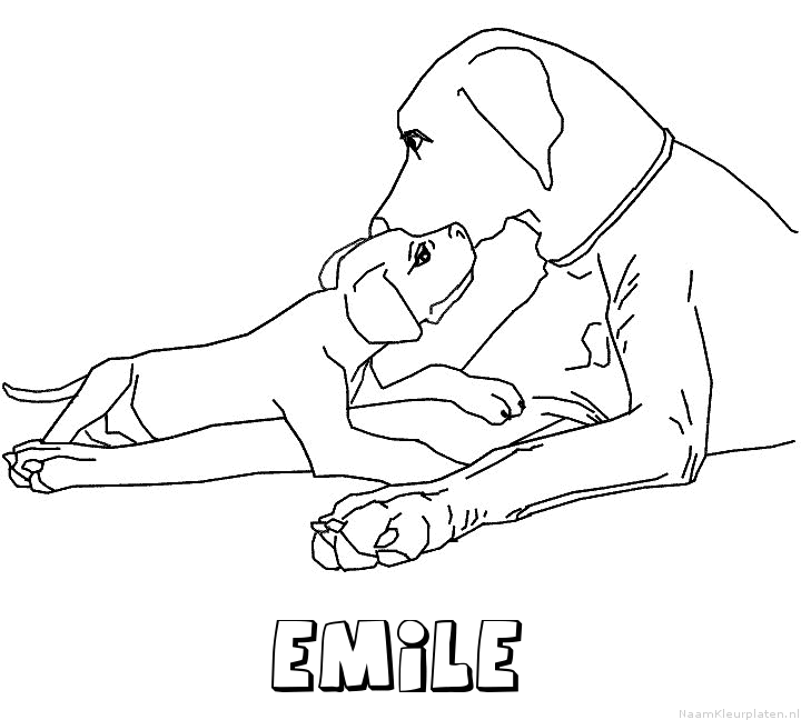 Emile hond puppy kleurplaat