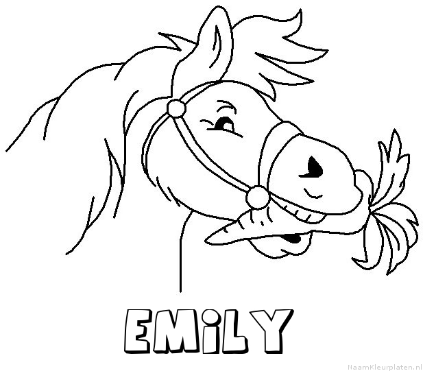 Emily paard van sinterklaas