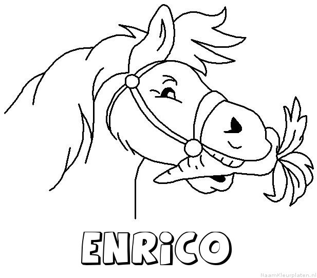 Enrico paard van sinterklaas kleurplaat