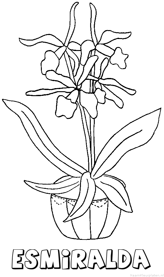 Esmiralda bloemen