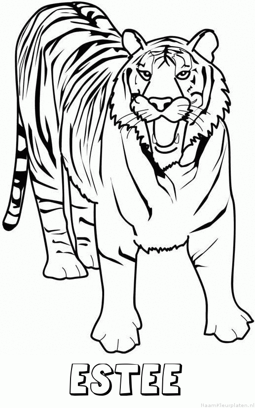 Estee tijger 2 kleurplaat