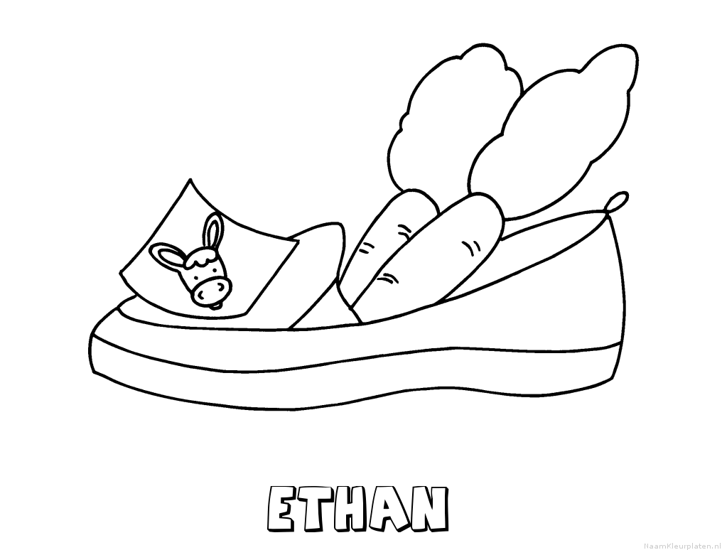Ethan schoen zetten