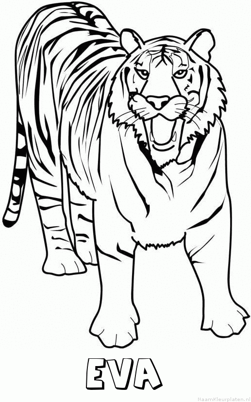 Eva tijger 2 kleurplaat