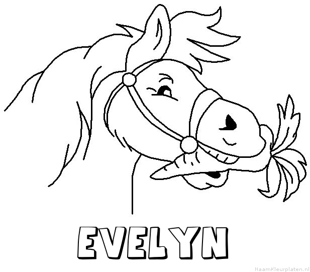 Evelyn paard van sinterklaas