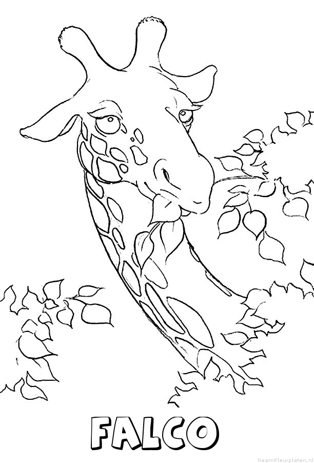 Falco giraffe kleurplaat