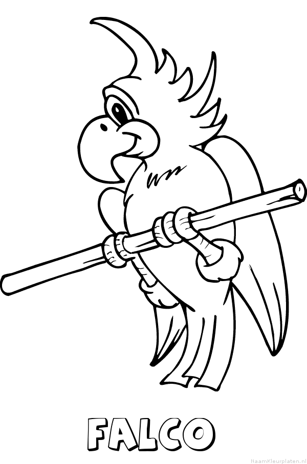 Falco papegaai