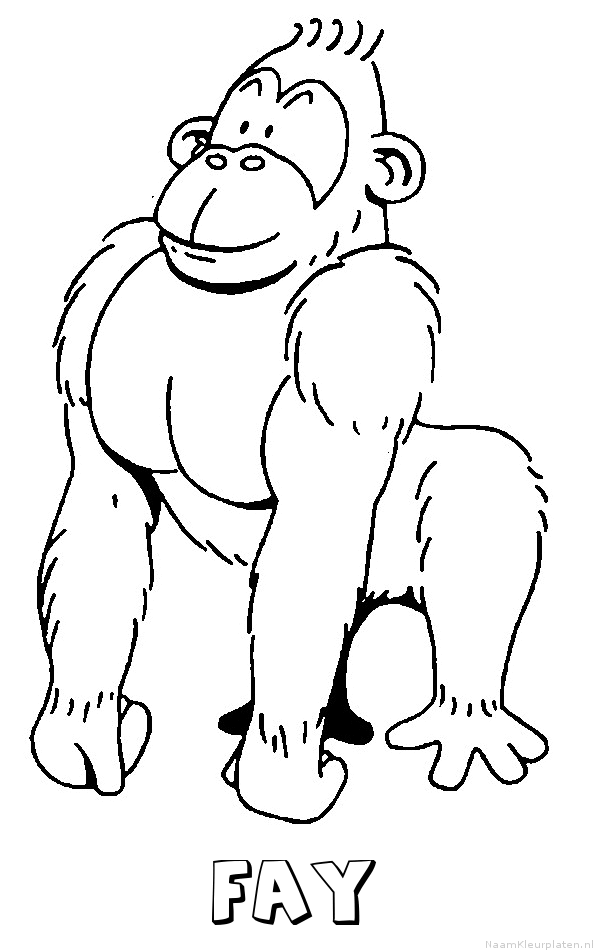 Fay aap gorilla