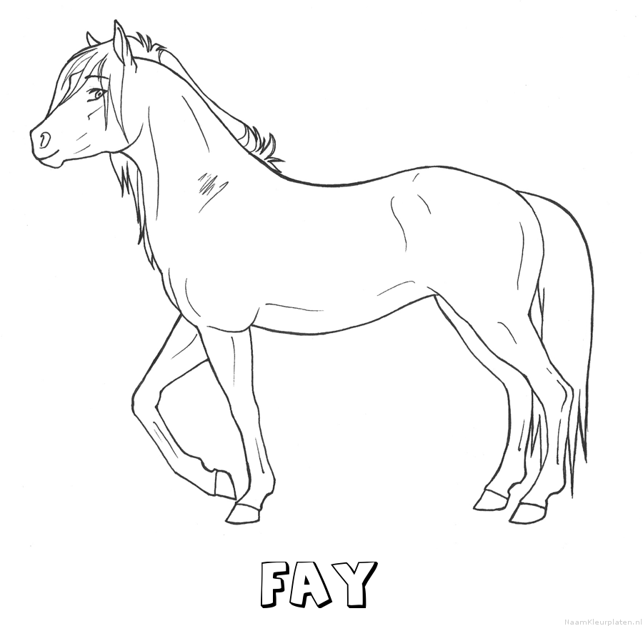 Fay paard