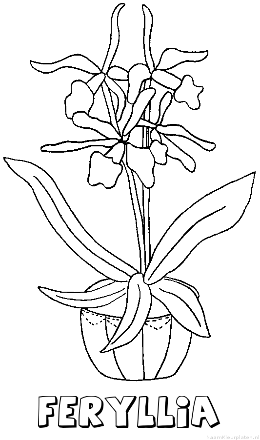 Feryllia bloemen kleurplaat