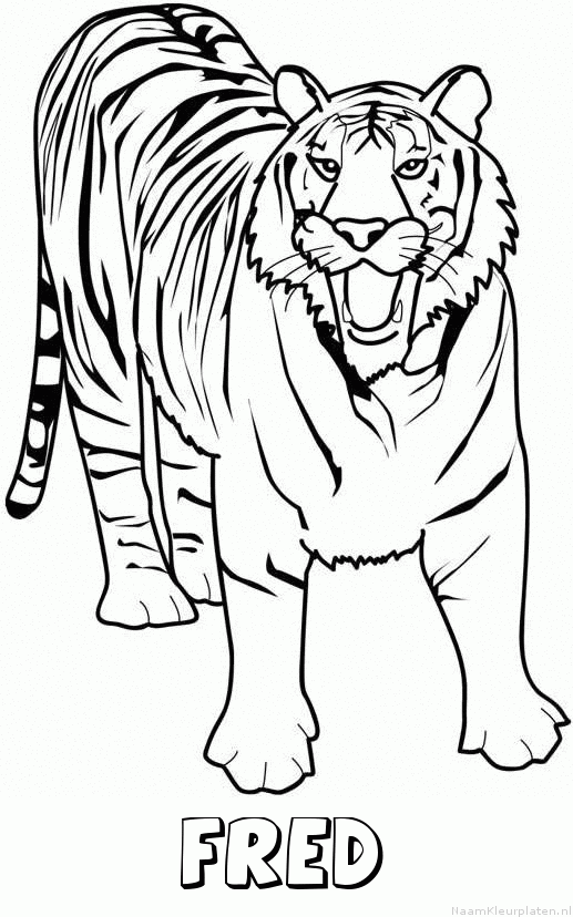 Fred tijger 2 kleurplaat