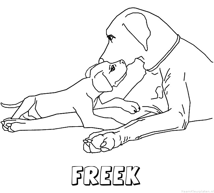 Freek hond puppy