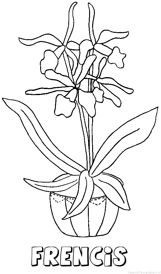 Frencis bloemen kleurplaat