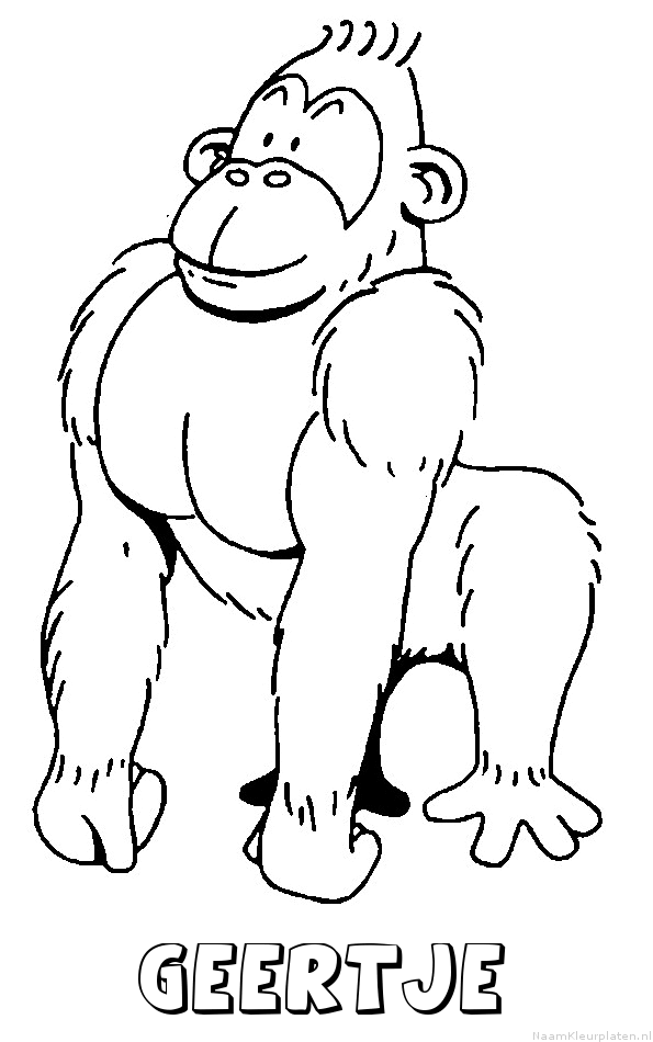 Geertje aap gorilla