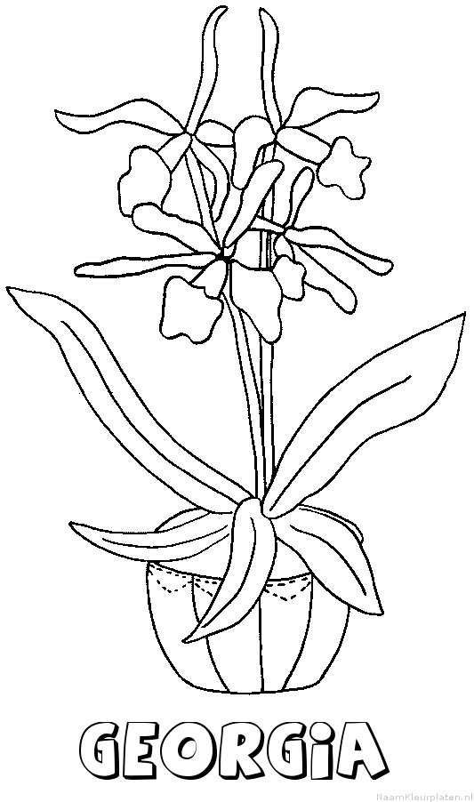 Georgia bloemen
