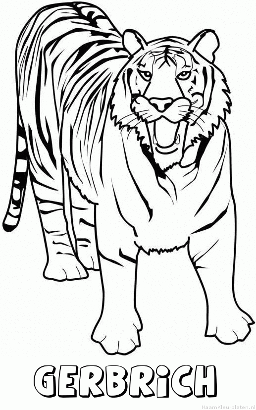 Gerbrich tijger 2