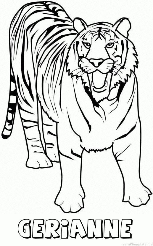 Gerianne tijger 2