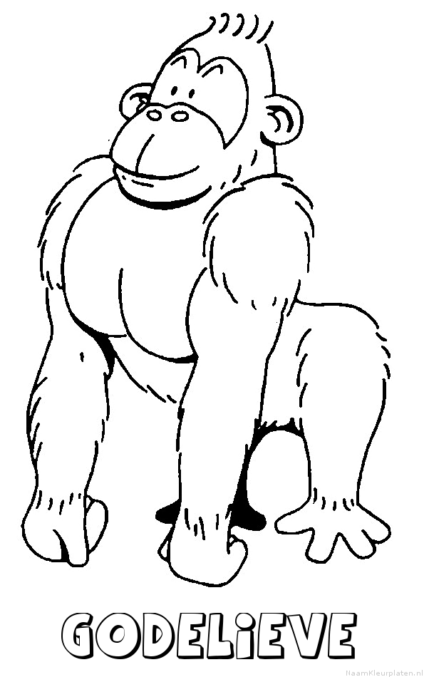 Godelieve aap gorilla