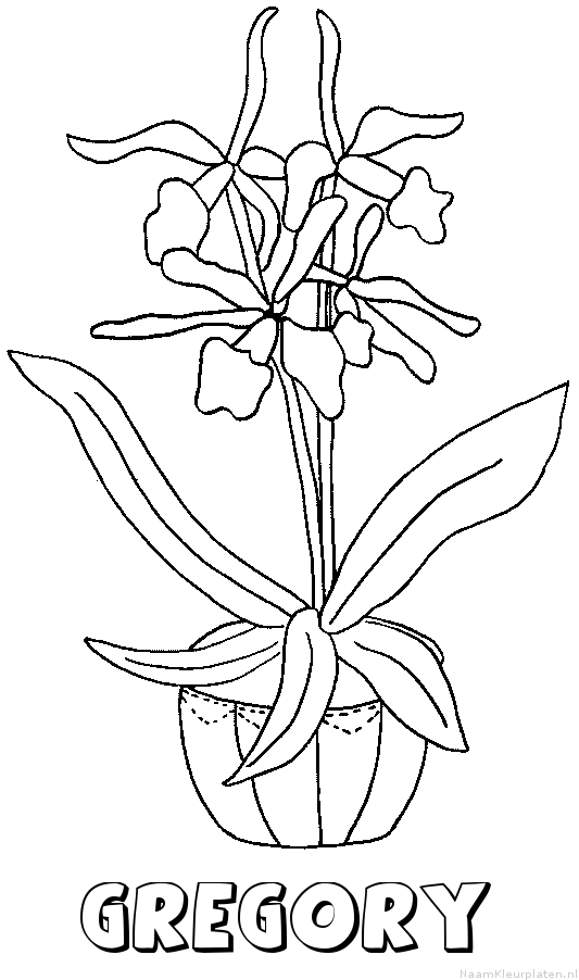 Gregory bloemen