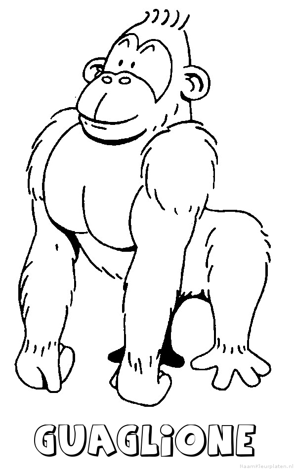 Guaglione aap gorilla