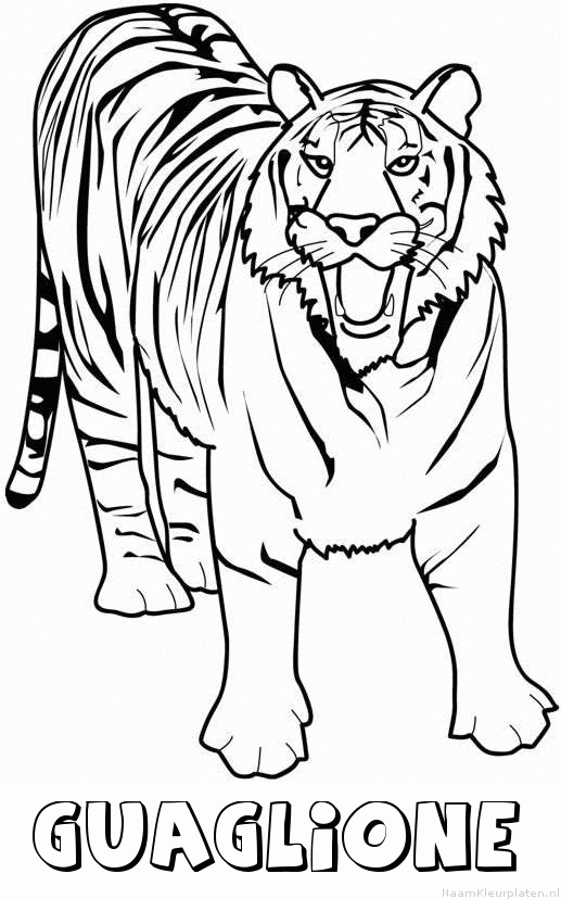 Guaglione tijger 2 kleurplaat