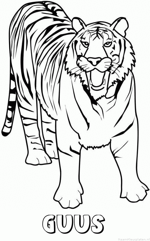 Guus tijger 2