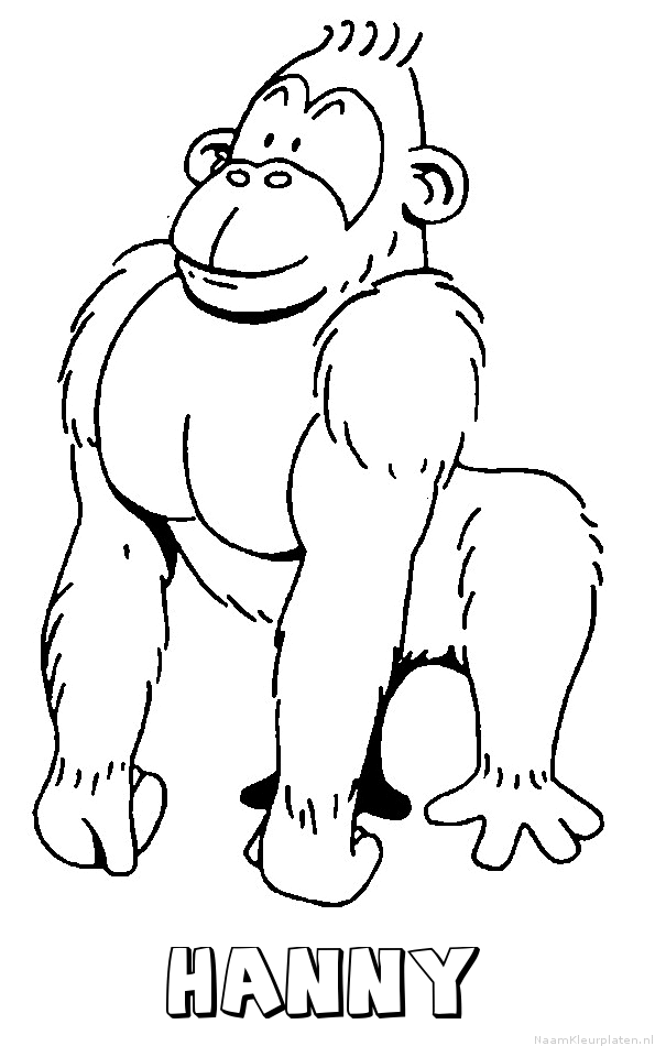 Hanny aap gorilla