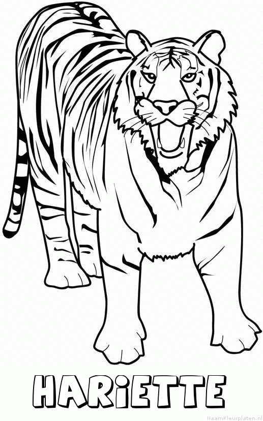 Hariette tijger 2