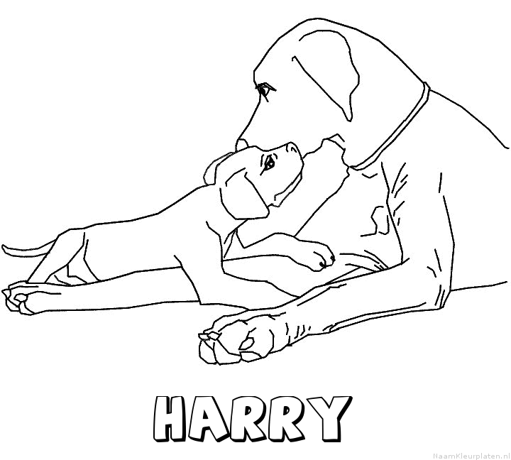 Harry hond puppy kleurplaat
