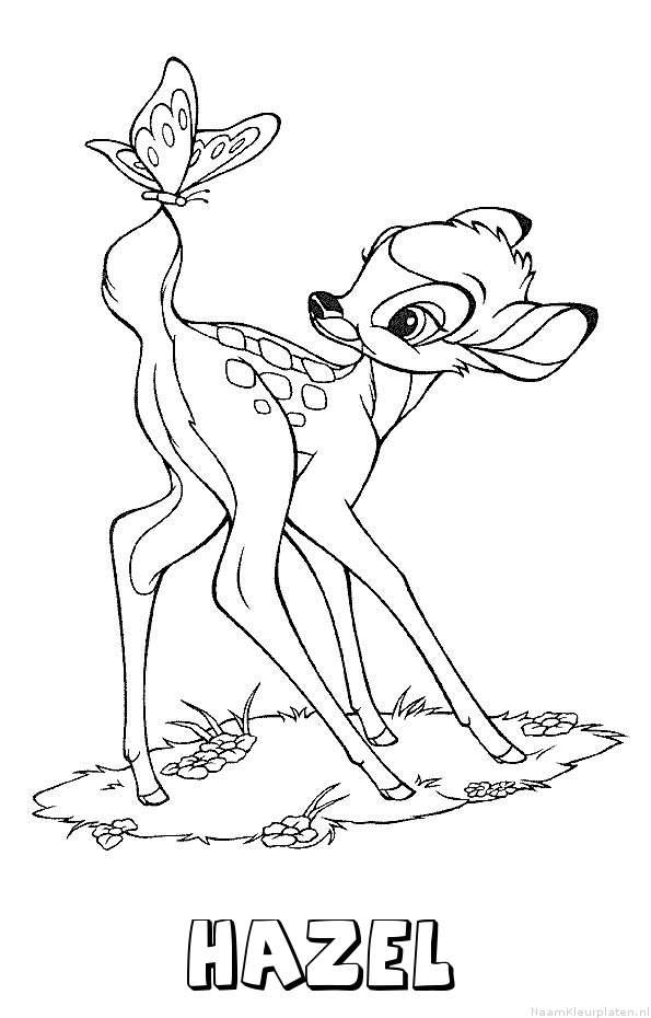 Hazel bambi