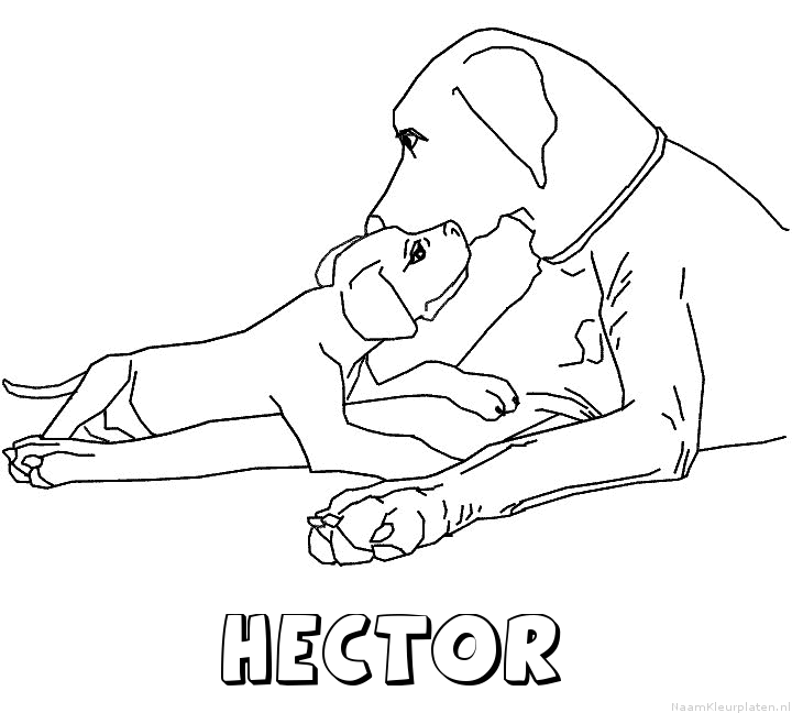 Hector hond puppy kleurplaat