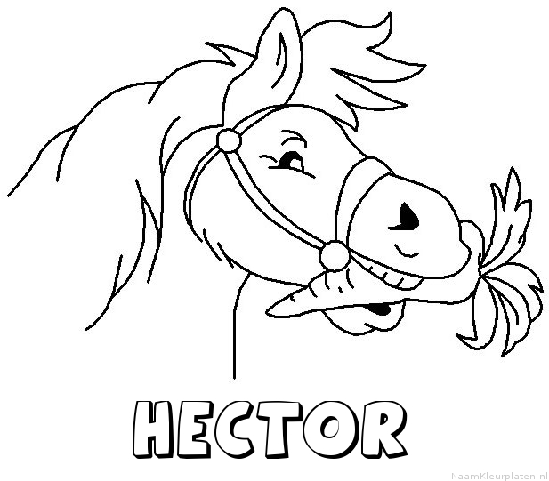 Hector paard van sinterklaas kleurplaat