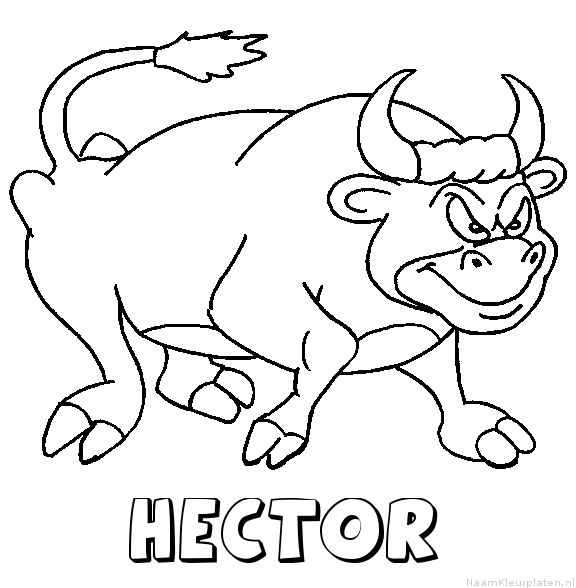Hector stier kleurplaat