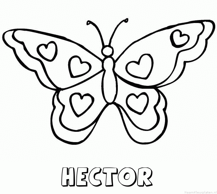 Hector vlinder hartjes