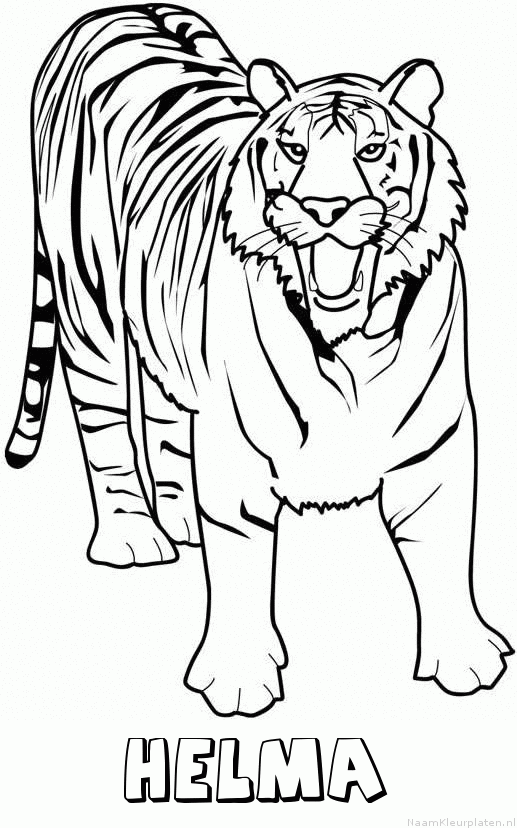 Helma tijger 2 kleurplaat