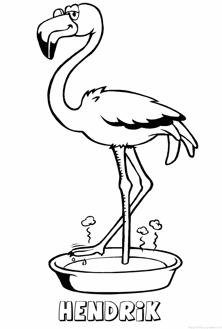 Hendrik flamingo