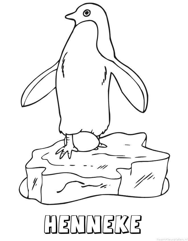 Henneke pinguin