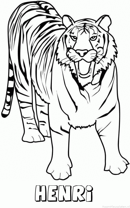 Henri tijger 2 kleurplaat
