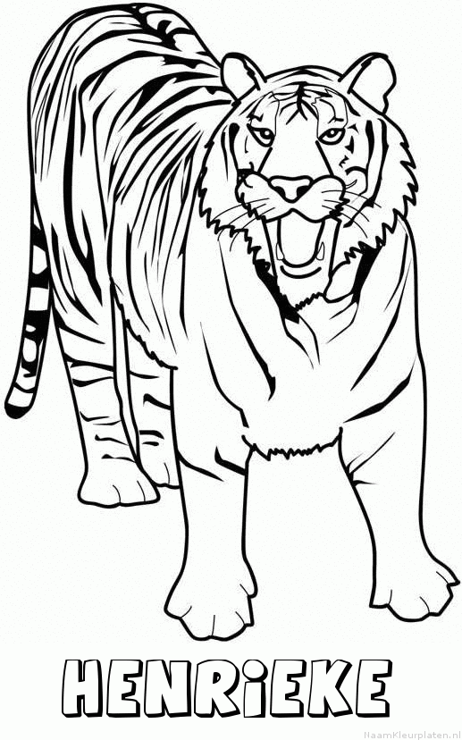 Henrieke tijger 2