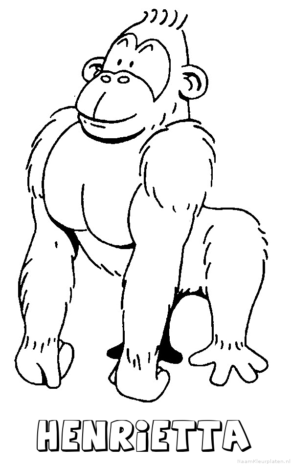 Henrietta aap gorilla