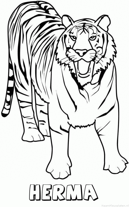 Herma tijger 2 kleurplaat