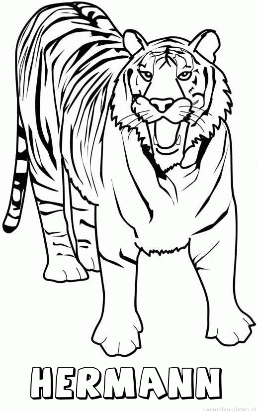 Hermann tijger 2 kleurplaat