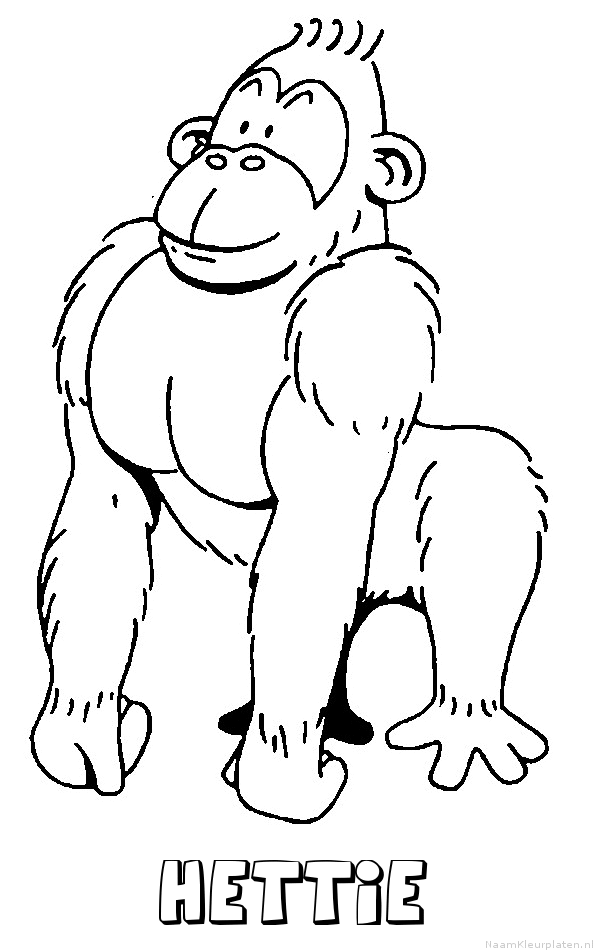 Hettie aap gorilla